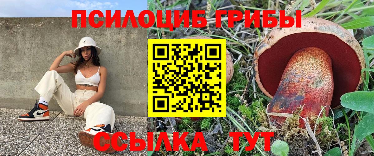 Благодарный  Псилоцибиновые грибы MAGIC MUSHROOMS  Вход с VPN  Галлюциногенные грибы Magic Shrooms 